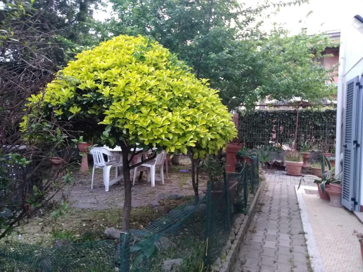 Villetta Stella Cecina  Esterno foto